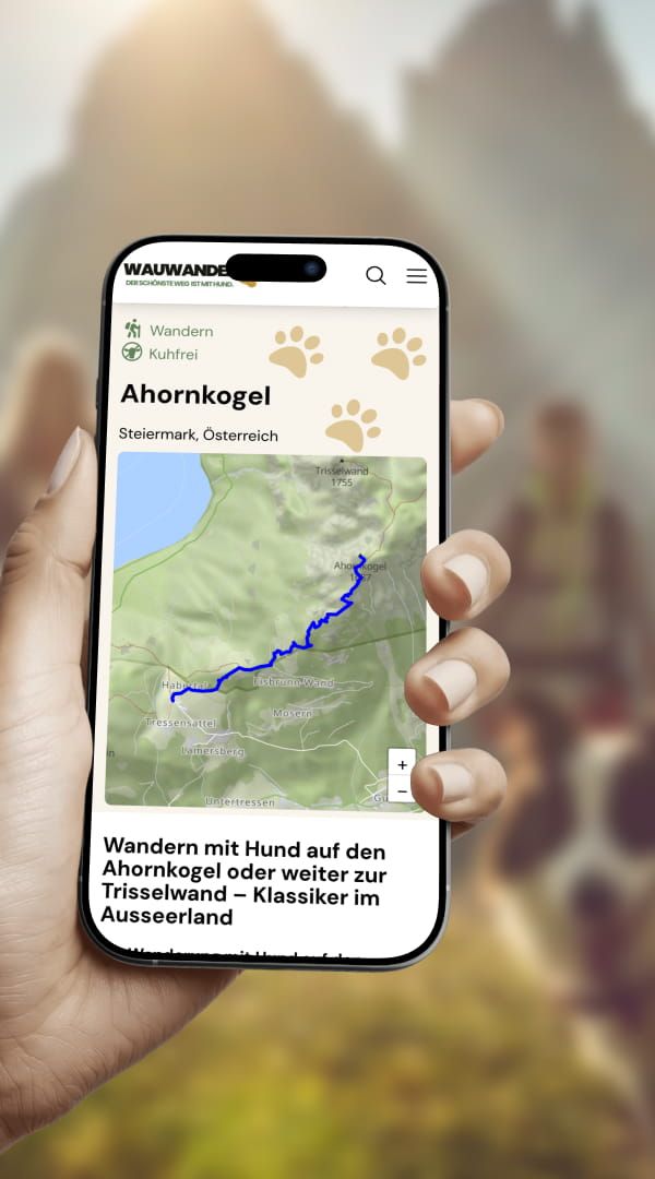 WauWander Hunde-Erlebniskarte & Content-Plattform