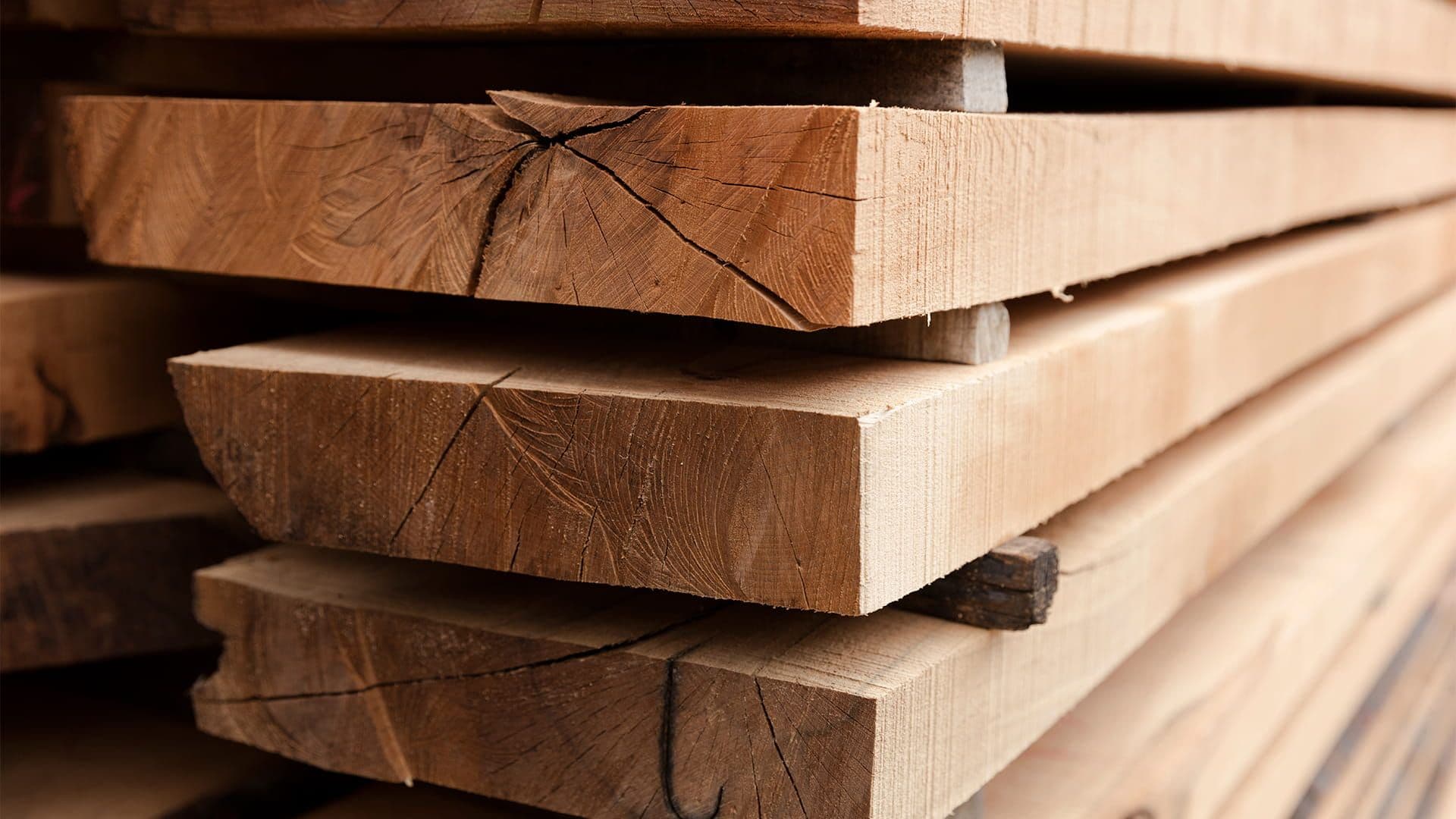 E-Commerce & Digitalisierung in der Holzindustrie Hero